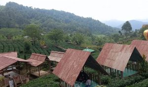 Okupansi Hotel di Sumedang Lesu