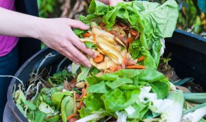 Kejam! 16 Siswa di Buton Dihukum Makan Sampah oleh Guru SD