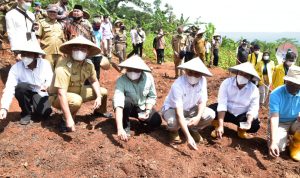 Menteri Optimis Komoditas Kacang Koro Bisa Ganti Kedelai