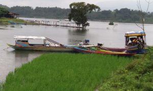 Hindari Kerugian Akibat Genangan Air Waduk, Tanaman Palawija Jadi Solusi