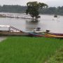 Hindari Kerugian Akibat Genangan Air Waduk, Tanaman Palawija Jadi Solusi