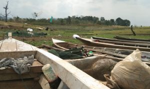 Air Waduk Naik, Warga Kelabakan Cari Rumput