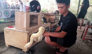 Komunitas Reptil Berikan Tips Menghindari Ular Masuk Rumah