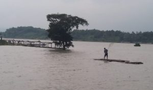 Pembudidaya Lobster Masih Minim