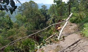 Jalan Longsor, Hambat Aktifitas Warga