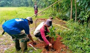 Tanaman Buah, Tingkatkan Ketahanan Pangan