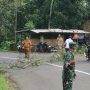 Hindari Pohon Tumbang, Situraja Utara Pangkas Pohon