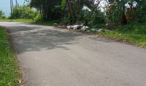 Jalan Pasanggrahan - Padasuka Dipenuhi Sampah 