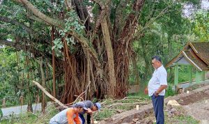 Wisata Mata Air Cipulus Kembali Ditata