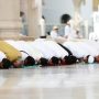 Amalan Sholat Tarawih di Bulan Ramadhan, Penuh Hikmah dan Pahala