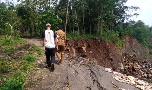 Longsor Jalan Hariang Cisumur Semakin Besar, Gerus Perkebunan Milik Warga