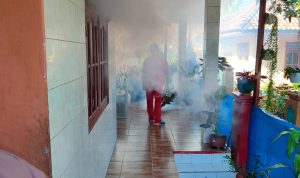 Ada Korban DBD, Tarunajaya Lakukan Fogging