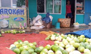 Bulan Ramadan, Permintaan Timun Suri Capai Enam Ton Sehari