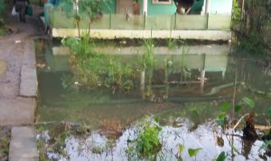 Terganggu Air Waduk, Warga Tidak Bisa Garap Sawah