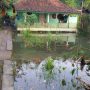 Terganggu Air Waduk, Warga Tidak Bisa Garap Sawah