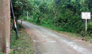 Jalan Wisata Dayeuh Luhur Licin dan Rawan Longsor