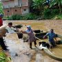 Pelaku Budidaya Benih Ikan Jatinunggal Masih Eksis