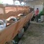 Bandar Mulai Stok Ternak Qurban