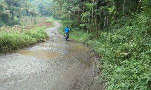 Jalan Buruk, Ganggu Mobilitas dan Perekonomian Masyarakat