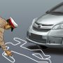 Pengendara Motor Tertabrak Mobil Hingga Tewas