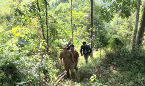 Pemdes Cijati Konsep Kawasan Hutan Lindung