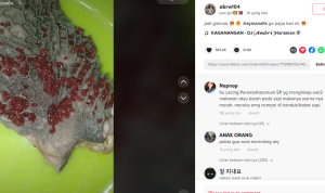 Vidio Viral Terdapat Cacing Berwarna Merah pada Babat Sapi