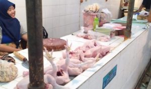 Daging Ayam Potong Diburu Pembeli