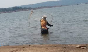 Ikan Predator Ganggu Nelayan Jatigede, Ikan di Waduk Jatigede Berkurang