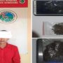 Polres Sumedang Amankan Ganja Seberat 6,8 Gram