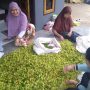 Produksi Minim, Harga Cengkeh Tinggi