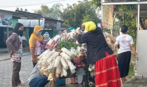 Harga Cabai Timbulkan Perdebatan