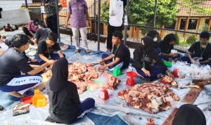 Ajarkan Siswa Berbagi Sejak Dini, SMAN Cimanggung Kurban Satu Ekor Sapi