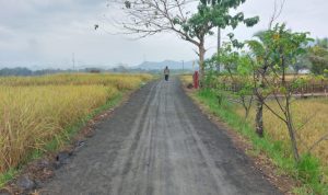 Lama Rusak, Akhirnya Jalan Pertanian Diperbaiki