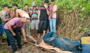 5 Fakta Anak Bunuh Ayah karena Ibunya Ditembak, Kubur Jasad Korban di Kebun Karet lalu Serahkan Diri