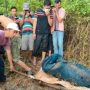 5 Fakta Anak Bunuh Ayah karena Ibunya Ditembak, Kubur Jasad Korban di Kebun Karet lalu Serahkan Diri