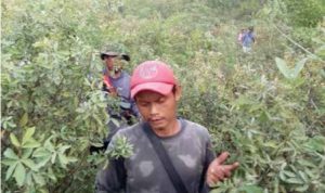 Warga Hilang di Hutan Sumurkondang Cirebon, Hanya Ditemukan Topi, Motor dan Jaring Saja