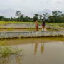 Tradisi Bubur Suro Ekspresikan Gotongroyong