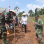 Tanam Jagung Untuk Ketahanan Pangan