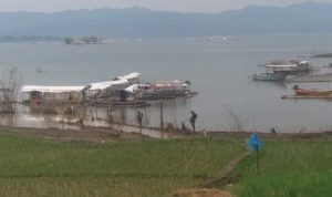 Air Waduk Jatigede Surut, Warga Tanami Areal Genangan