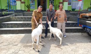 Ketahanan Pangan, Haurngombong Gandeng BLK dan Unpad