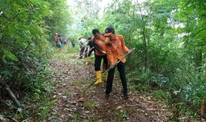 Diprediksi, Kebakaran Hutan Akan Lebih Minim