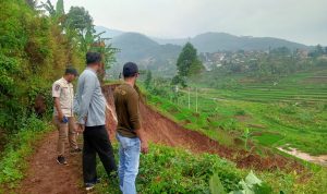 Tanah Longsor di Cimanggung Timpa Pesawahan Warga