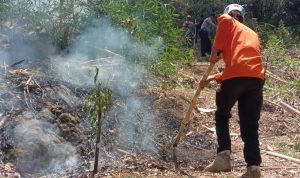 Lahan Gunung Kacapi Terbakar