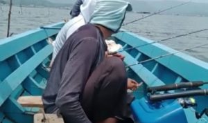 Ikan Patin Banyak Muncul di Jatigede