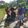 Sundamekar Perbaiki Jalan Penghubung