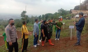 Dinas Kehutanan Jabar Tanami Seribu Pohon Dinas Kehutanan Jabar Tanami Seribu Pohon