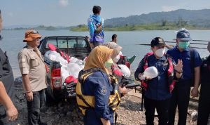 Kelestarian Ikan Ternyata Pengaruhi Mutu Air