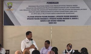 Angka Pengangguran Masih Tinggi,  Capai 50 Ribu Orang