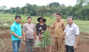 Tarunajaya Anjurkan Manfaatkan Lahan Kosong