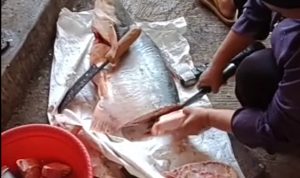 Produk Berbahan Ikan Perlu Modifikasi